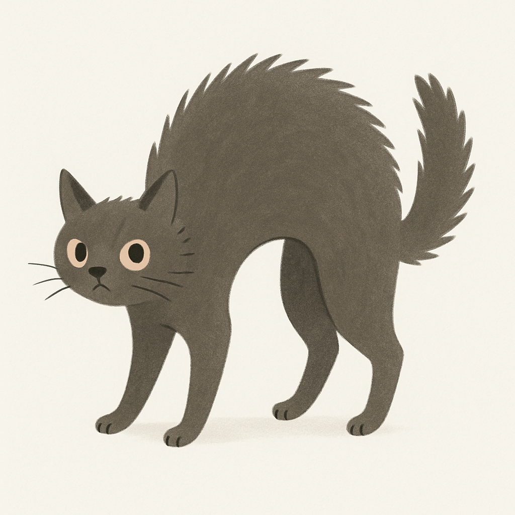 為什麼貓咪有時候會拱起背橫著走？揭開「螃蟹步」的心理戰術